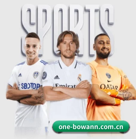 one-bowann.com.cn的方向