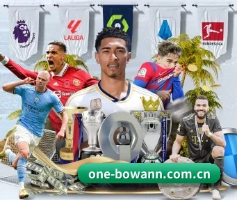 one-bowann.com.cn APP